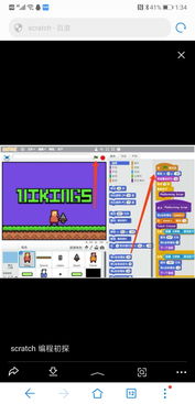 編程普及時(shí)代，報(bào)考計(jì)算機(jī)專(zhuān)業(yè)依然大有可為